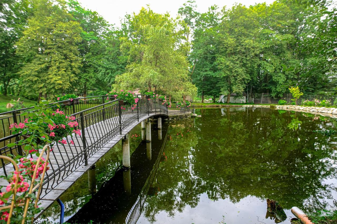 Zamek Dubiecko Hotel Екстериор снимка