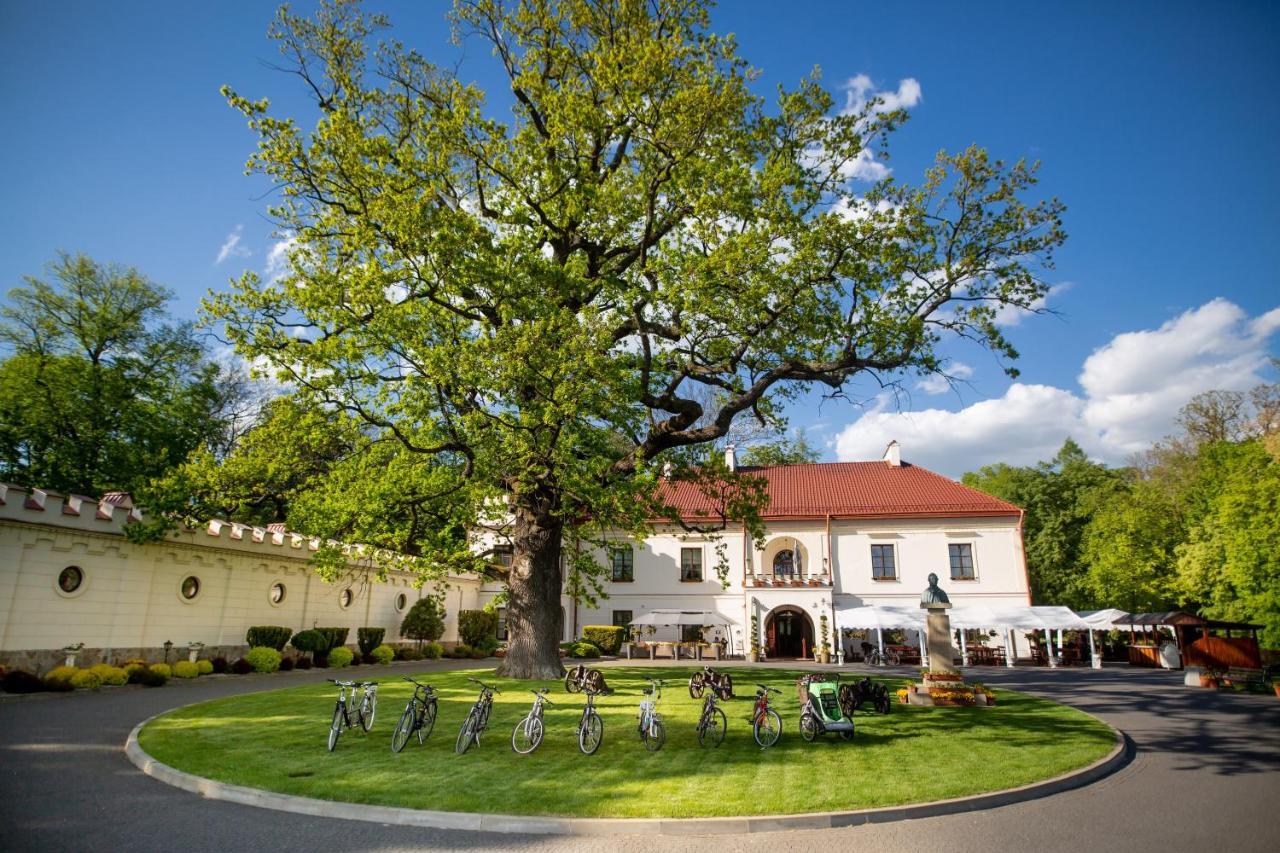 Zamek Dubiecko Hotel Екстериор снимка