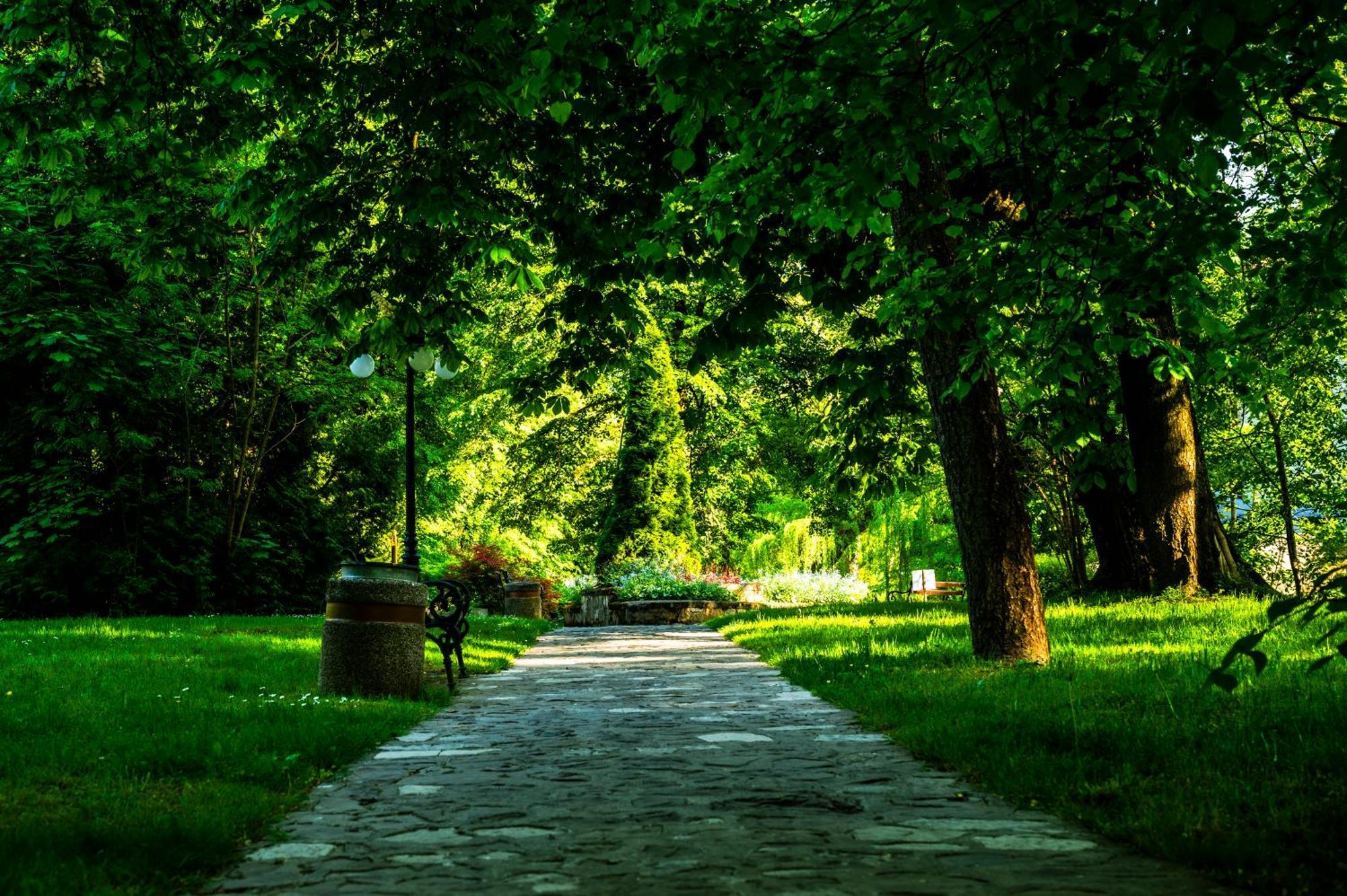 Zamek Dubiecko Hotel Екстериор снимка